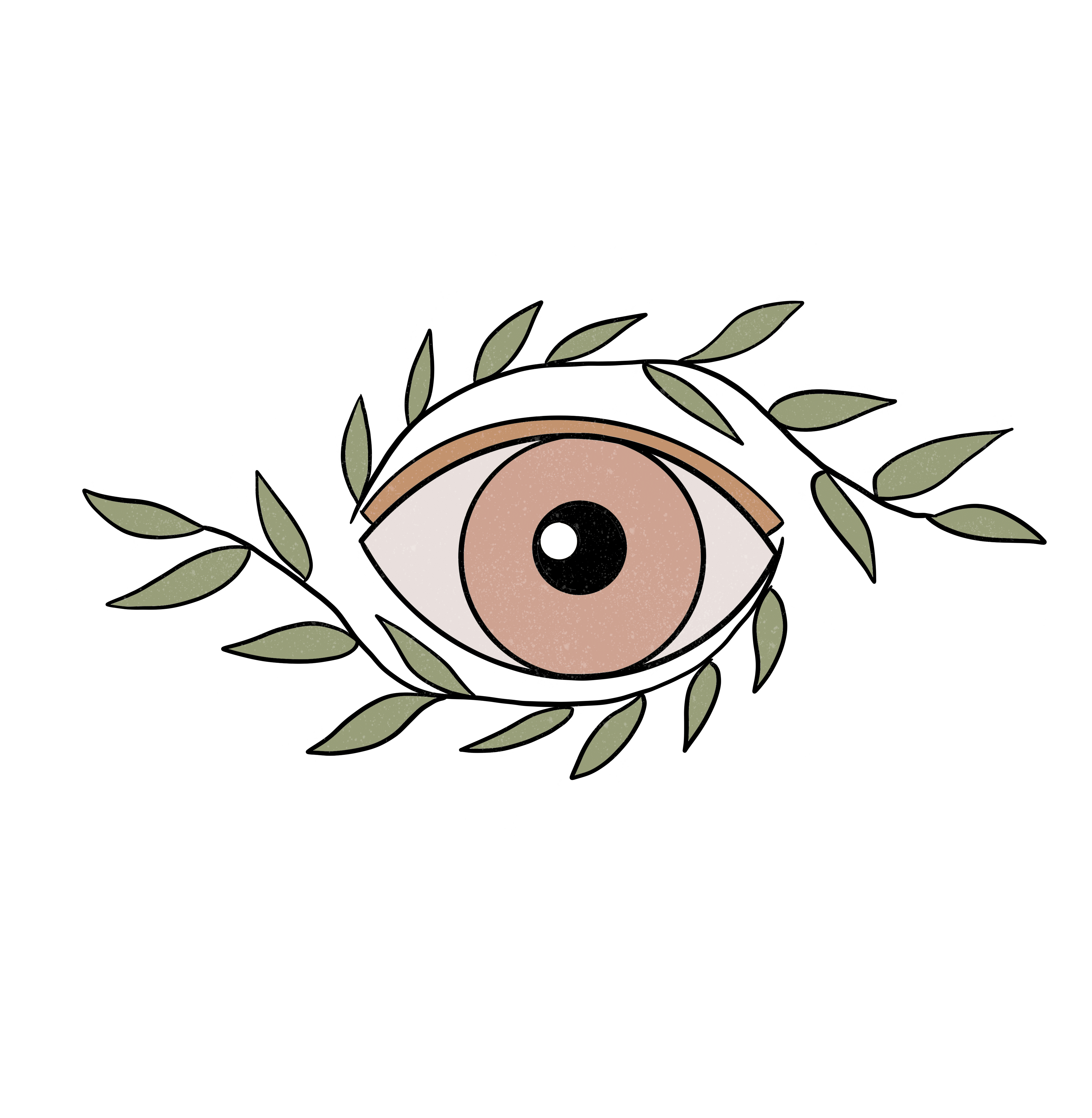 Oeil
