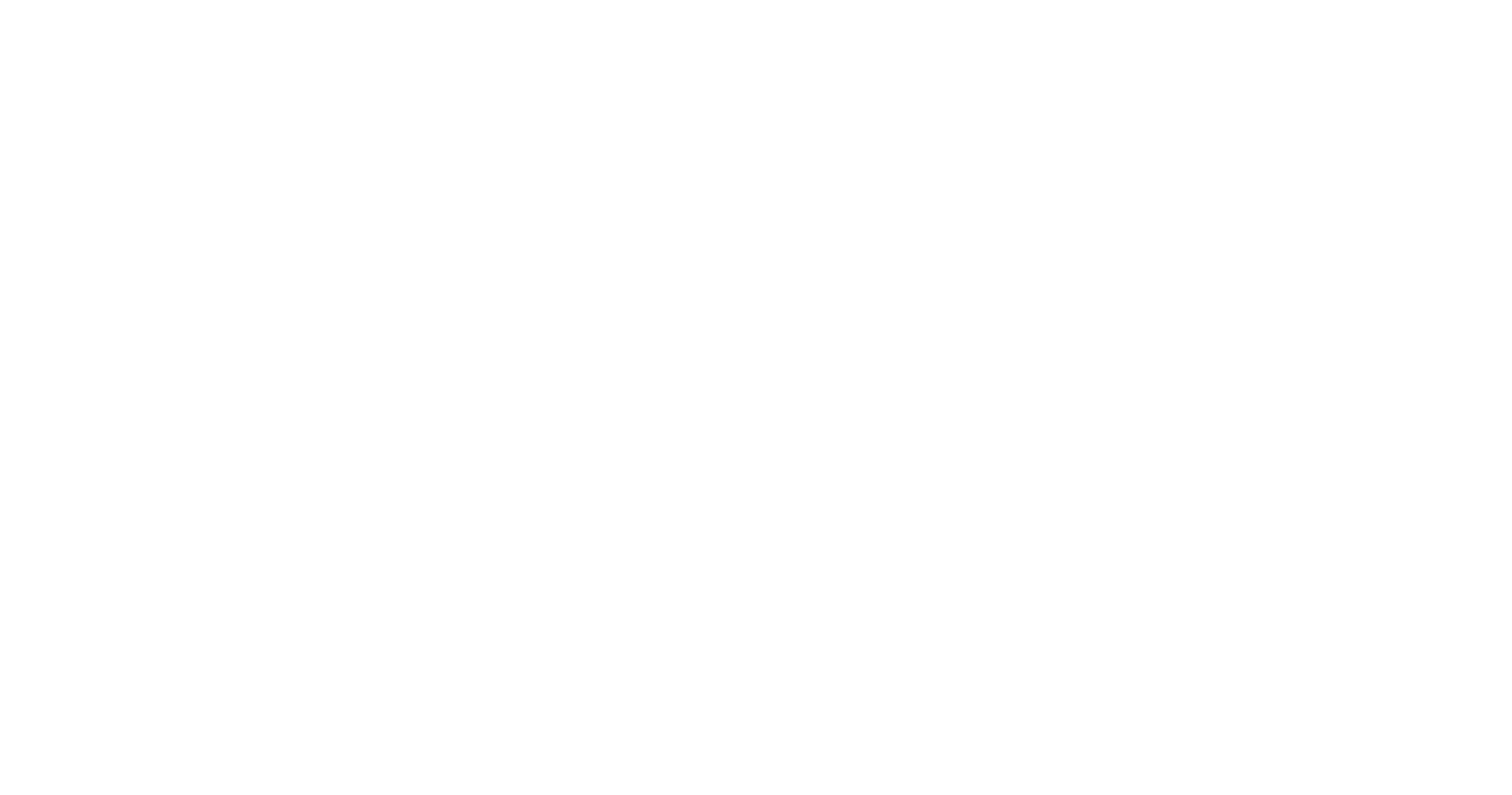 Logo_1_blanc