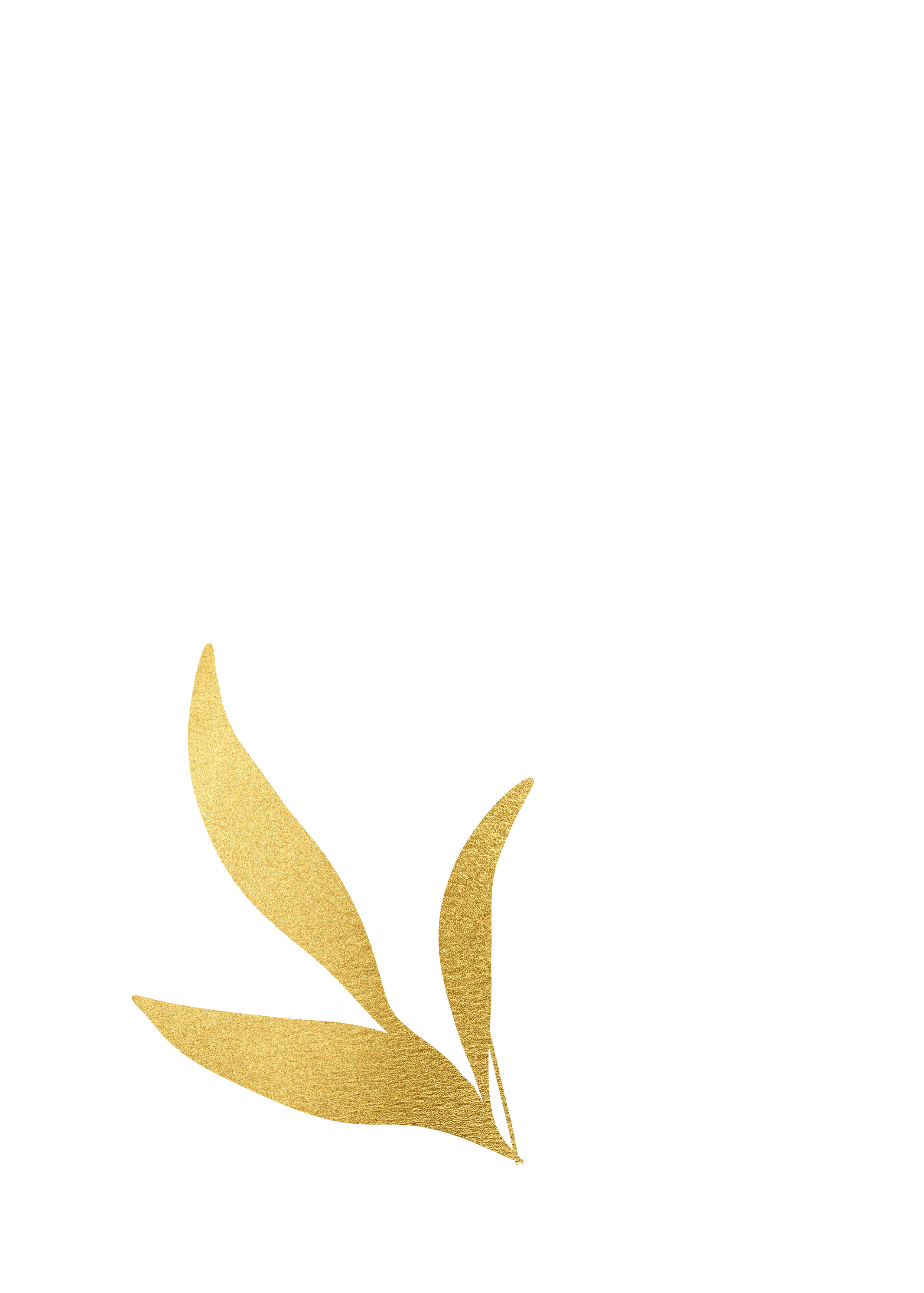 Feuille